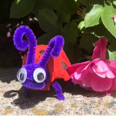 a ladybug made out of egg carton and pipe cleaners, with googly eyes.