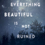 Book cover: Everything beautiful is not ruined, by Danielle Younge Ullman.