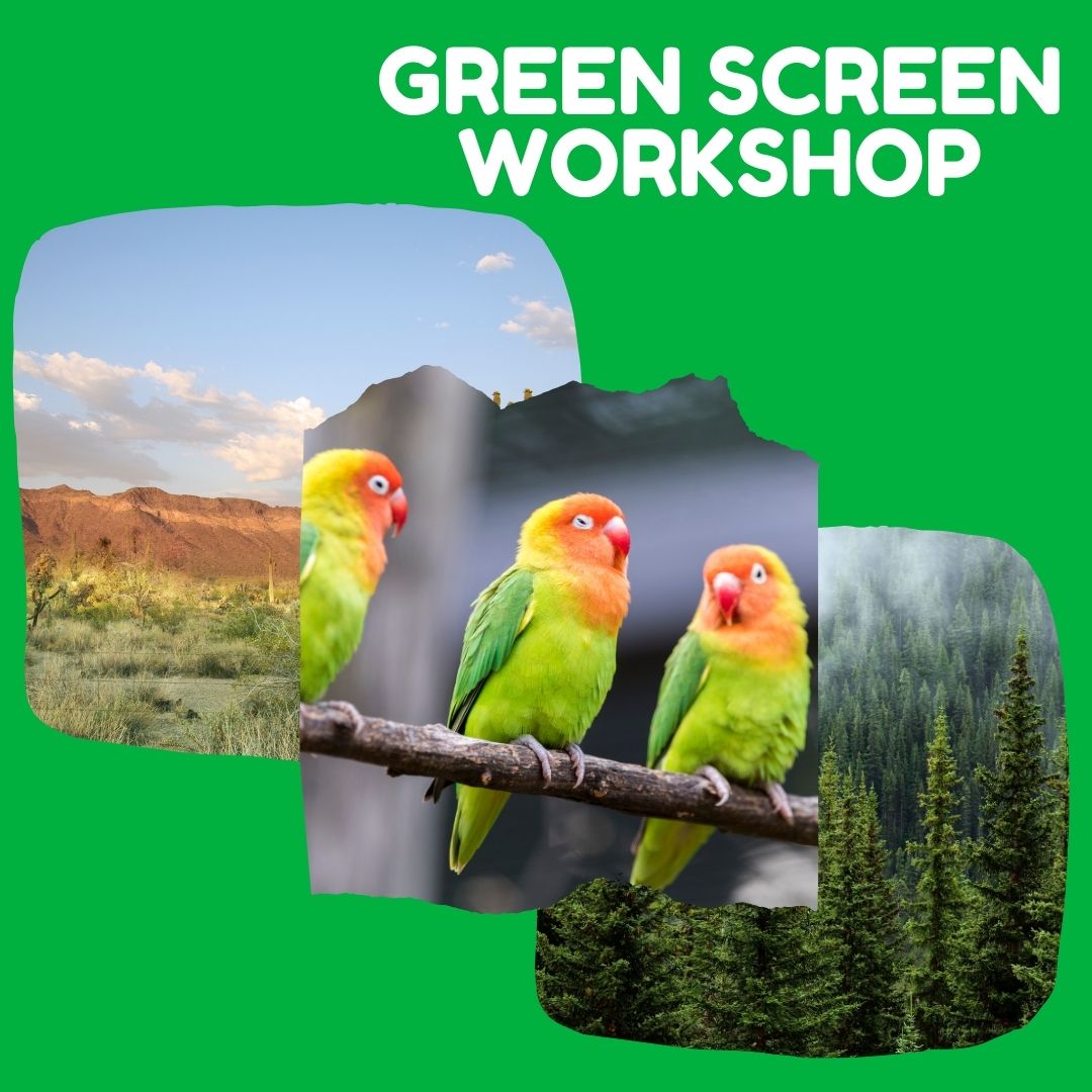 Green Screen Workshop Website Graphic